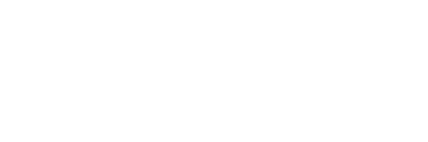 BESO Consulting